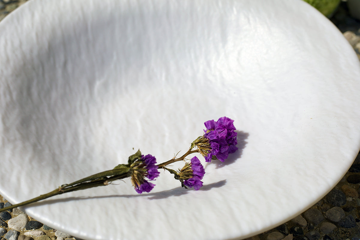 Piatto di porcellana bianca tinta unica, stile deformato